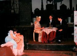 The Glass Menagerie